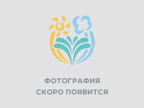 Двухместный стандартный номер: фото 2
