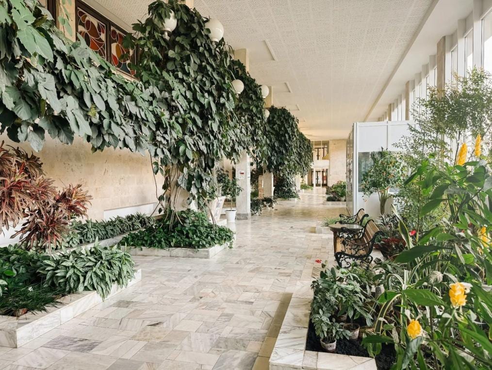 Санаторий «Кавказ»: фото 12