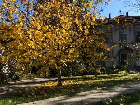 Пансионат «Дача Генерала Николаева»: фото 10