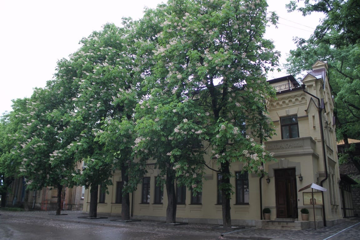 Медицинский центр «Княжна Мери»: фото 3
